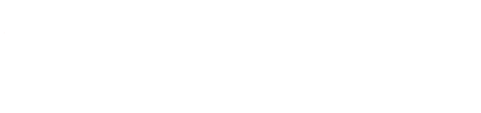 LS Software Solutions und Consulting